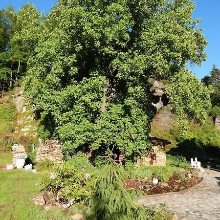 Jugendstilvilla Rosenthal Rosenthal-Bielatal